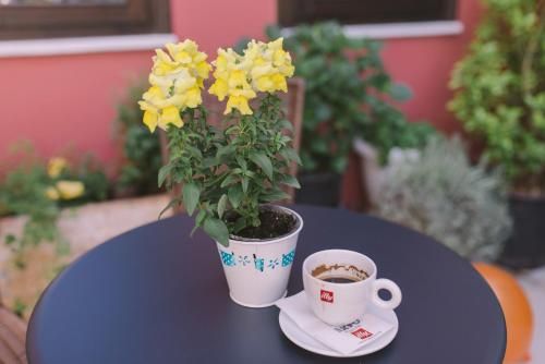 صورة الفندق 14