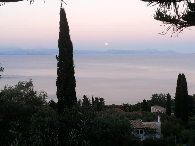 صورة الفندق 7