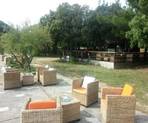 Apartments Mirko Donje Petrcane Croatia