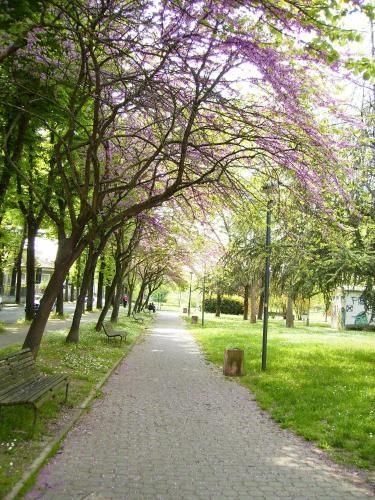 صورة الفندق 4