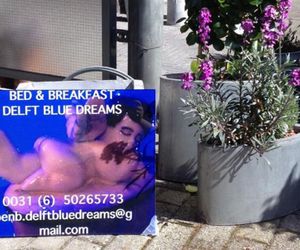 Delft Blue Dreams Bed and Breakfast Delft Netherlands