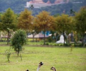 Meihua Lake Leisure Farm Dongshan Taiwan