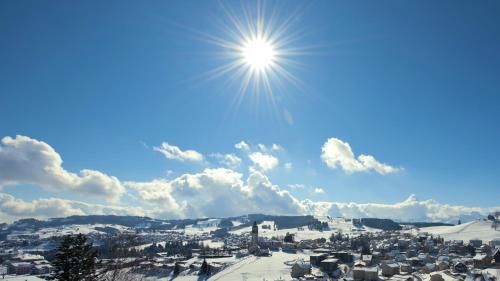 صورة الفندق 21