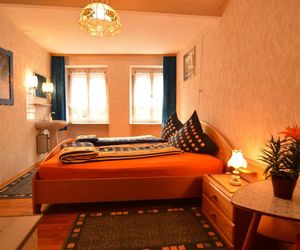 Comfortable Apartment in RachtigEifel near Lake Zeltingen-Rachtig Germany