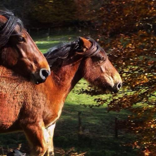 صورة الفندق 3
