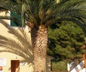 Michalis Place Apartments Vasiliki Greece