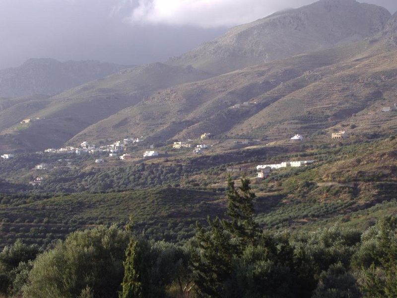 صورة الفندق 19