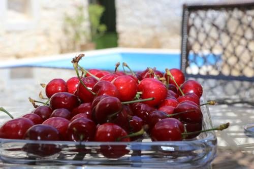 صورة الفندق 13