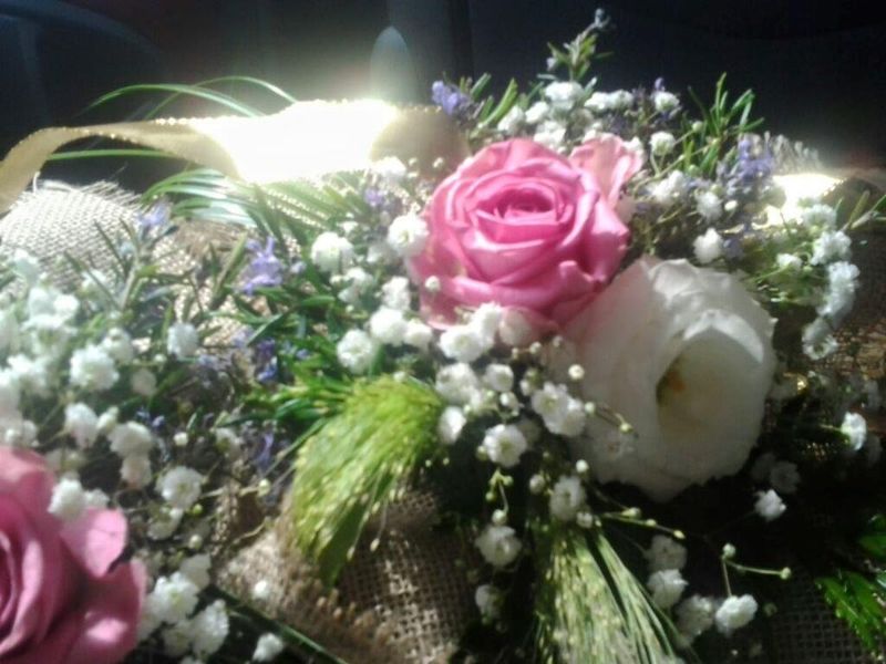 صورة الفندق 24