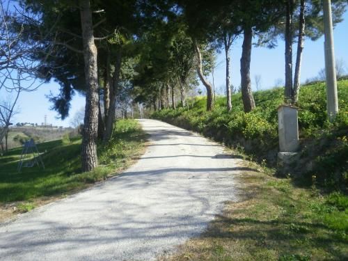 صورة الفندق 18