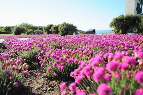 صورة الفندق 18