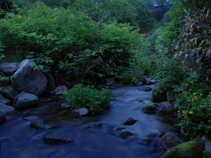 صورة الفندق 15
