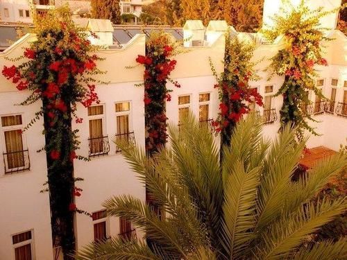 صورة الفندق 17