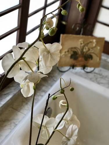 صورة الفندق 13