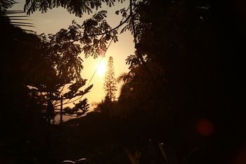 صورة الفندق 21
