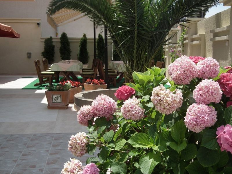 Hotel Photo 20