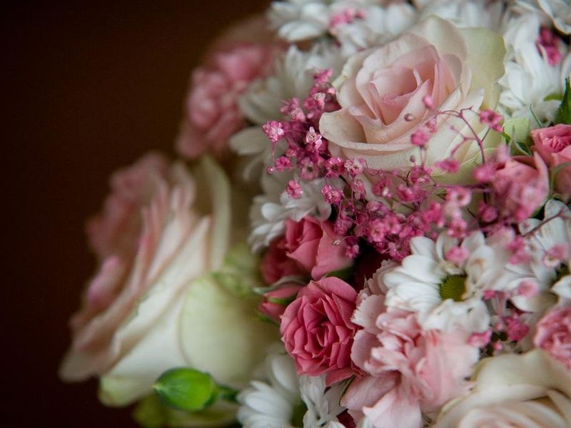 صورة الفندق 12