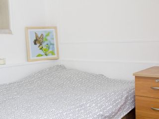 Hostel Fonar