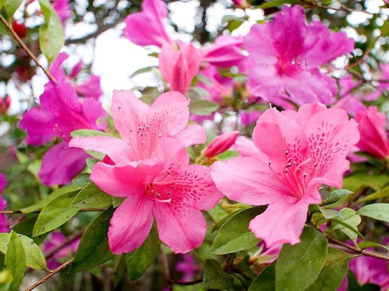 صورة الفندق 16