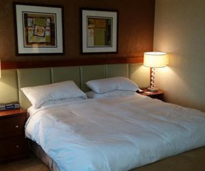 Studio Suite at Signature Hotel Las Vegas United States