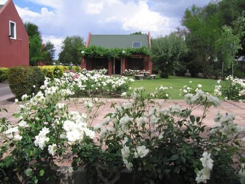 صورة الفندق 19