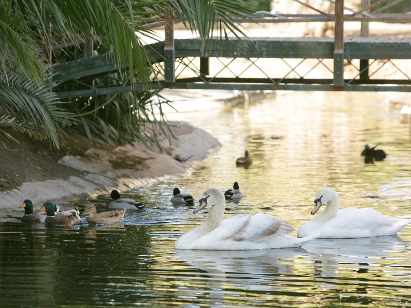 صورة الفندق 22