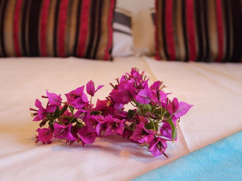 صورة الفندق 4