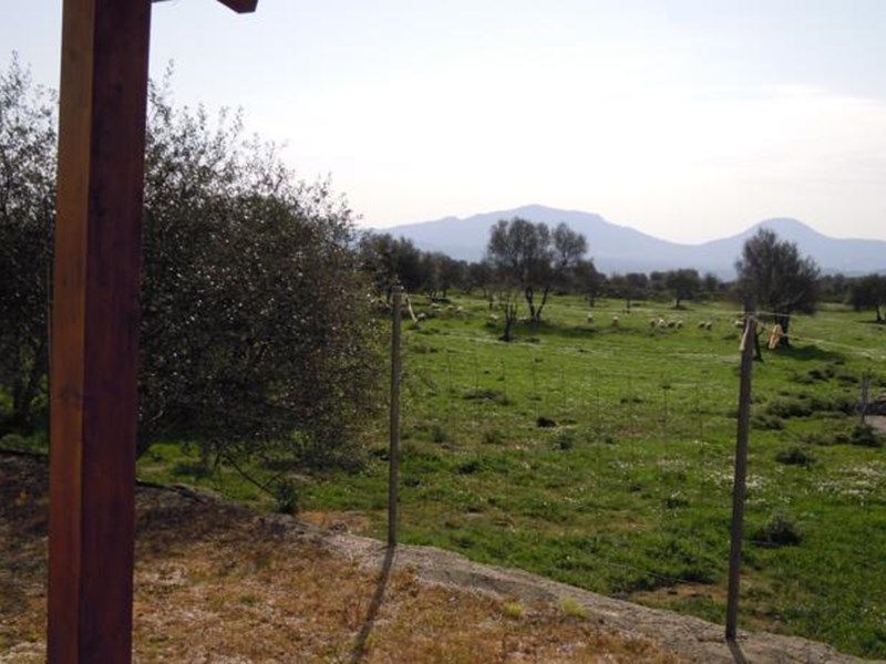 صورة الفندق 1