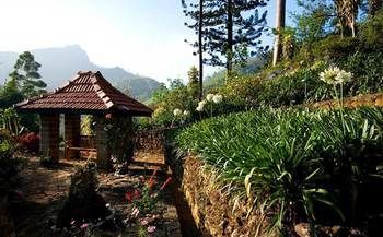 صورة الفندق 15