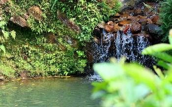 صورة الفندق 17