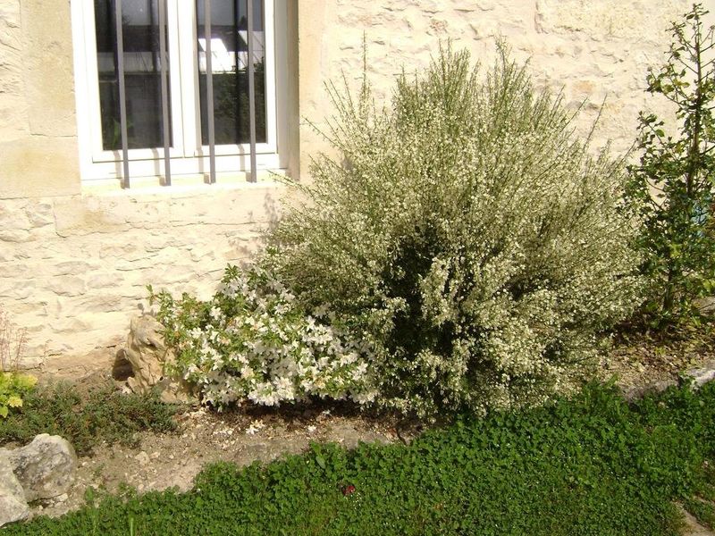 صورة الفندق 21