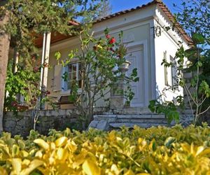 Elegant Villa Zakynthos Kalamakion Greece