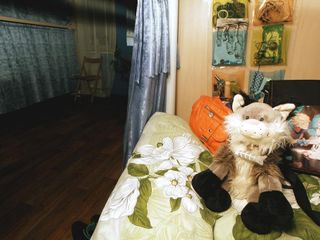 Гамак на Невском