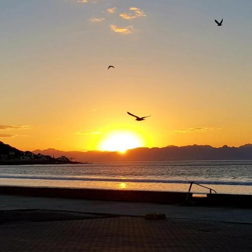 صورة الفندق 7