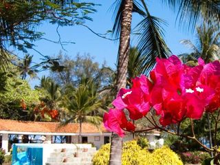 Hotel pic Diani Sea Resort - All Inclusive