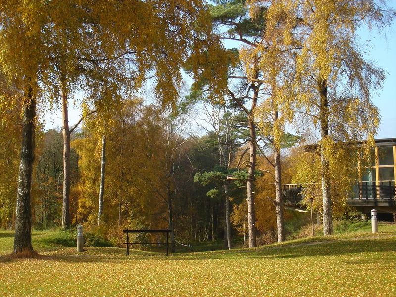 صورة الفندق 21
