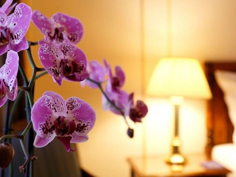 صورة الفندق 6