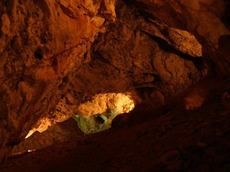 صورة الفندق 21