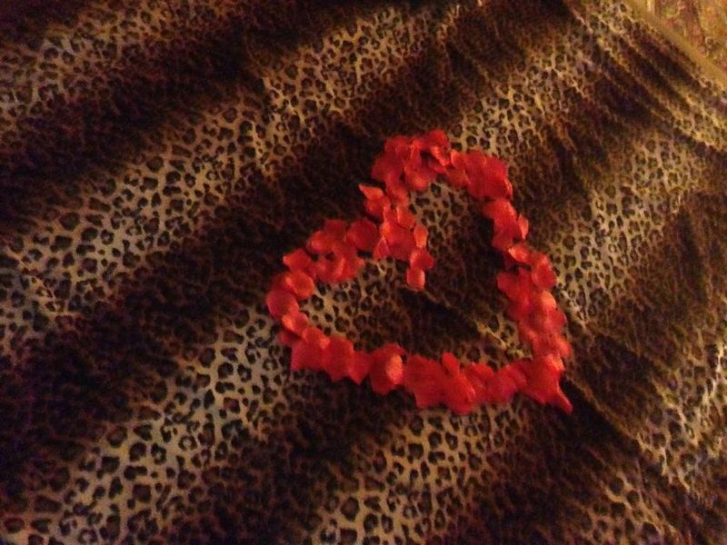 صورة الفندق 21