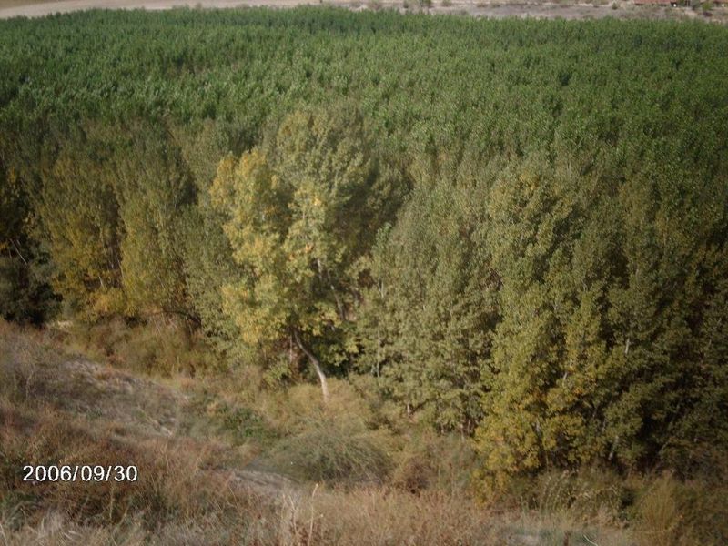 صورة الفندق 2