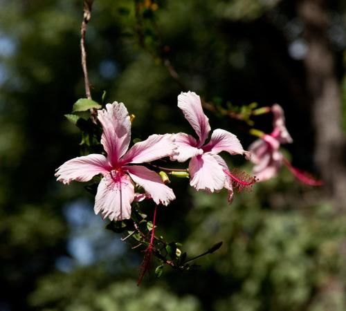 صورة الفندق 18