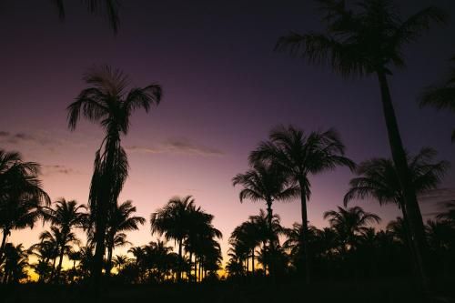 صورة الفندق 20