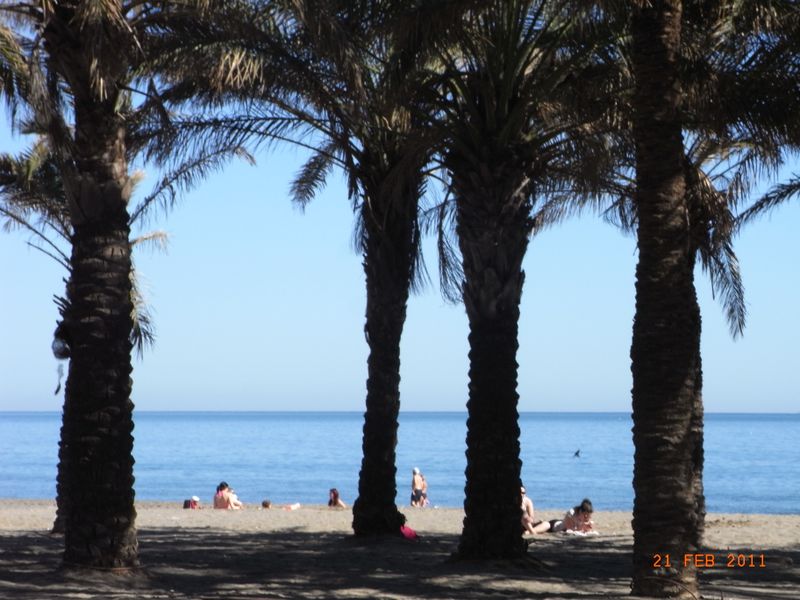 صورة الفندق 18