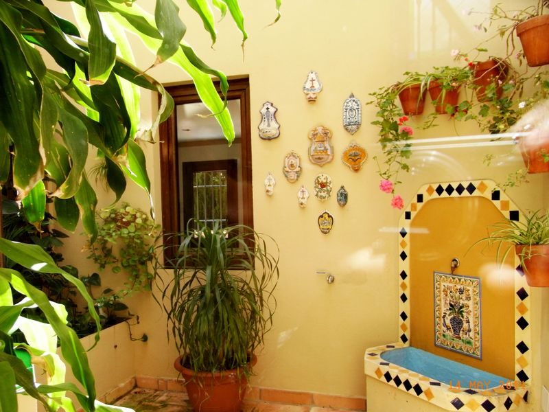 صورة الفندق 7