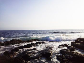 صورة الفندق 20