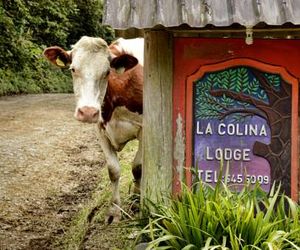 La Colina Lodge Monteverde Costa Rica