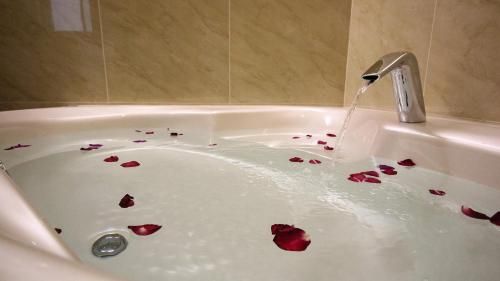 صورة الفندق 12