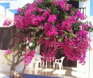 Apartamentos Blue Beach Menorca Ciutadella Spain