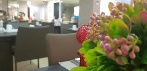 صورة الفندق 15