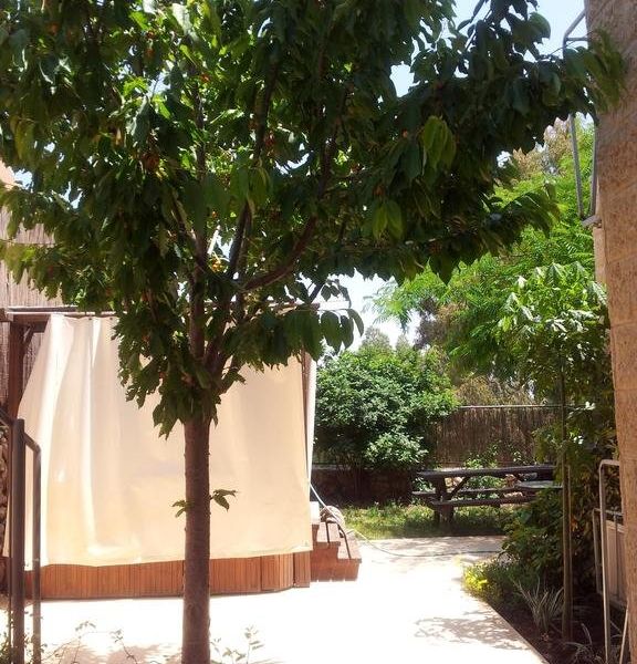 صورة الفندق 18